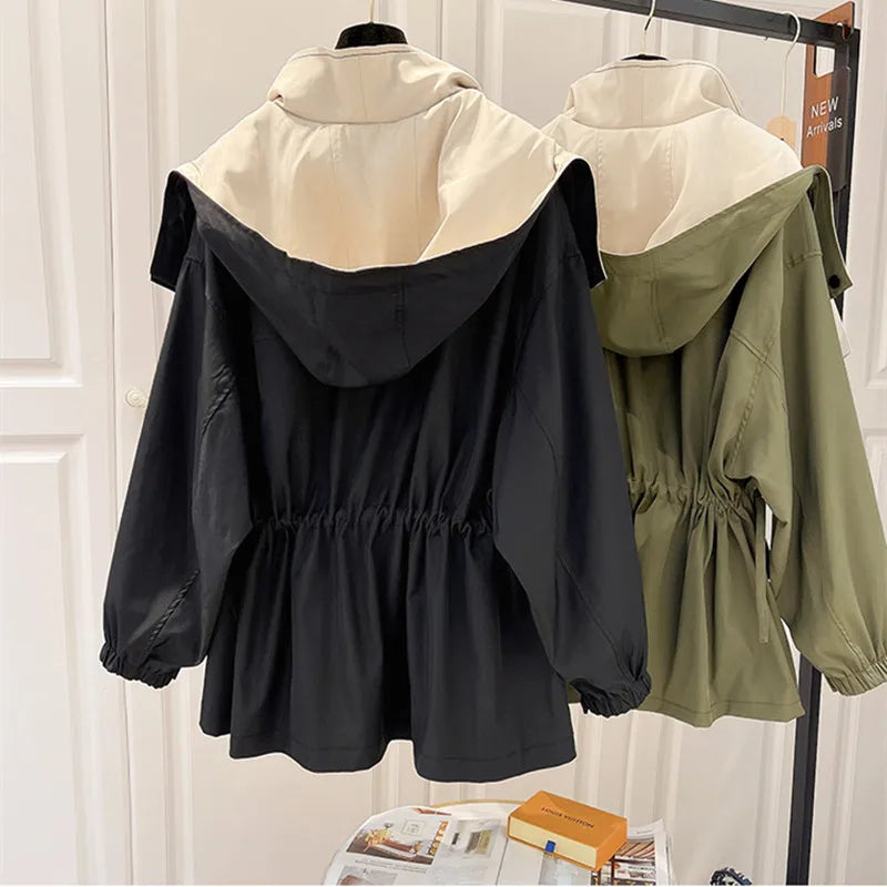 Modern Stylish Windbreaker